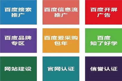 大数据分析在竞价广告中的应用
